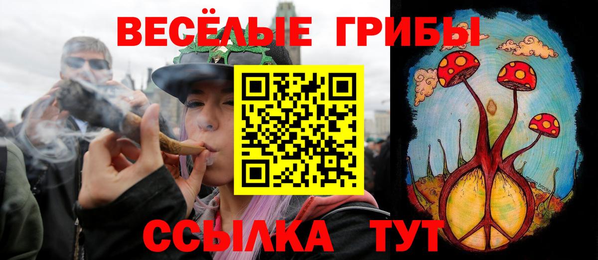 Псилоцибиновые грибы прущие грибы Грозный