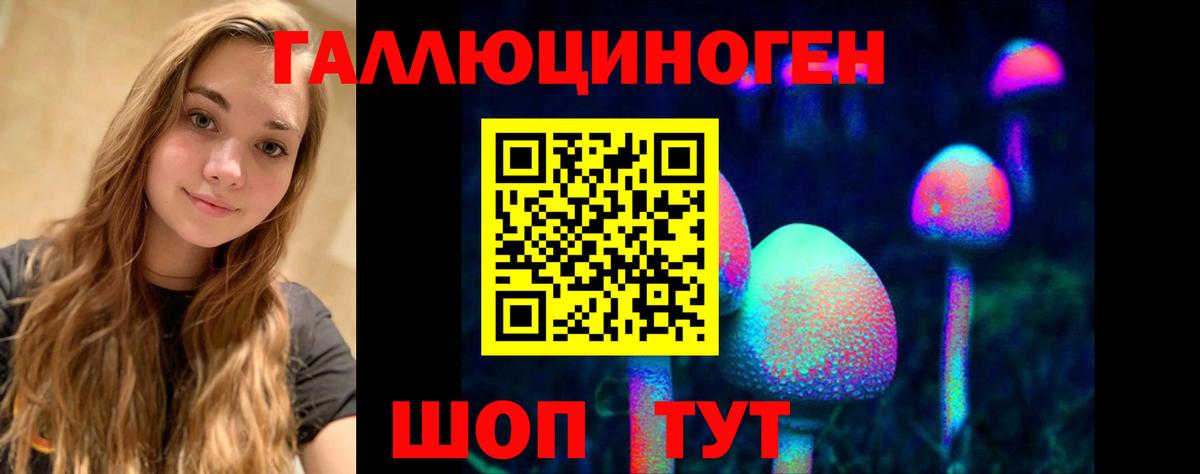 Галлюциногенные грибы Cubensis  Вход с VPN  Галлюциногенные грибы мухоморы  Грозный 